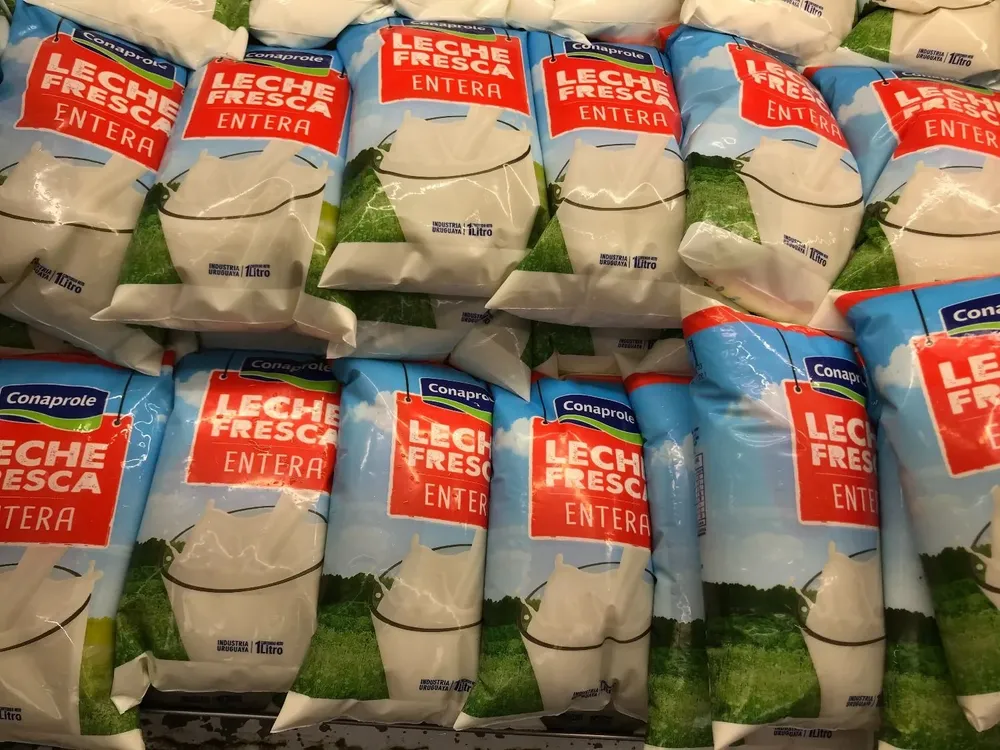 Se enlenteció la distribución de leche fresca.