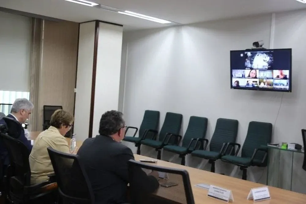 La reunión virtual fue realizada por iniciativa de la ministra de Agricultura, Ganadería y Abastecimiento de Brasil, Tereza Cristina (centro).