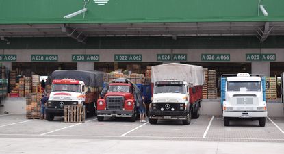 Frutas y verduras: nueva lista de productos recomendados desde la UAM.