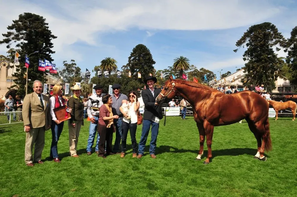 Consagración del Gran Campeón de haras La Milagrosa