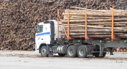 El rubro forestal sigue a paso firme pese al “ruido” generado por UPM
