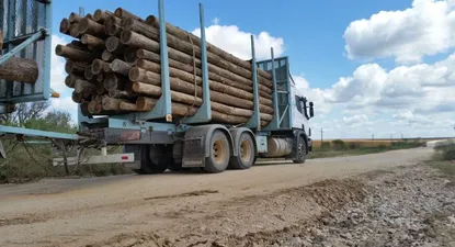 Gobierno conocía reputación de firma que ganó PPP para ruta 14