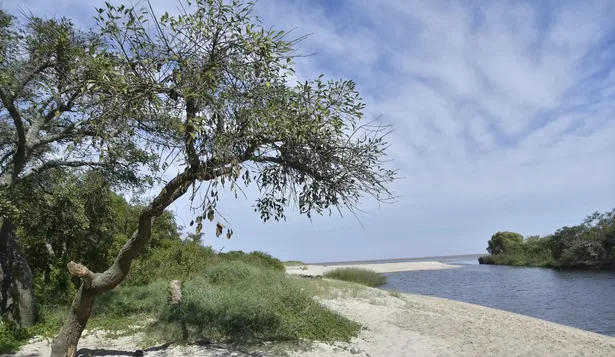Zona donde se construirá la planta