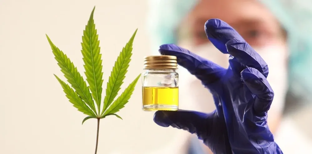 El aceite de la empresa Cannava se podrá conseguir en farmacias de todos los distritos en 2024