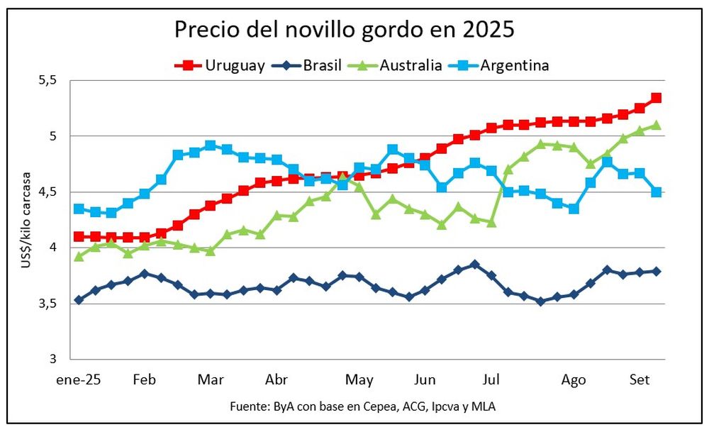 Mercado ganadero: un gráfico que tiene a los productores entusiasmados.