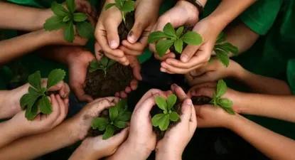 El desafío de generar cultura de sustentabilidad