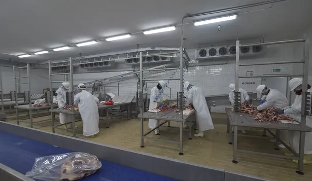 La industria frigorífica tuvo un año de faena récord con más de 2,6 millones de cabezas.