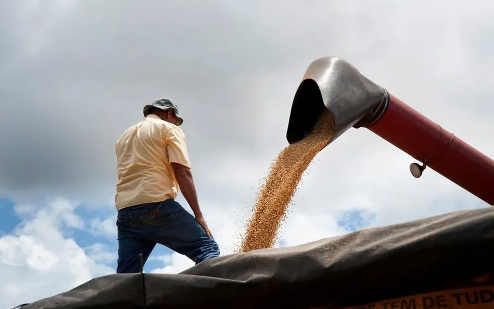 Procuran mejorar calidad sanitaria de la soja hacia el mercado interno y la exportación 
