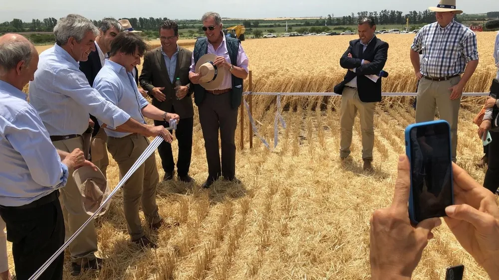 Varios miembros del gobierno acudieron al lanzamiento de la zafra de trigo.
