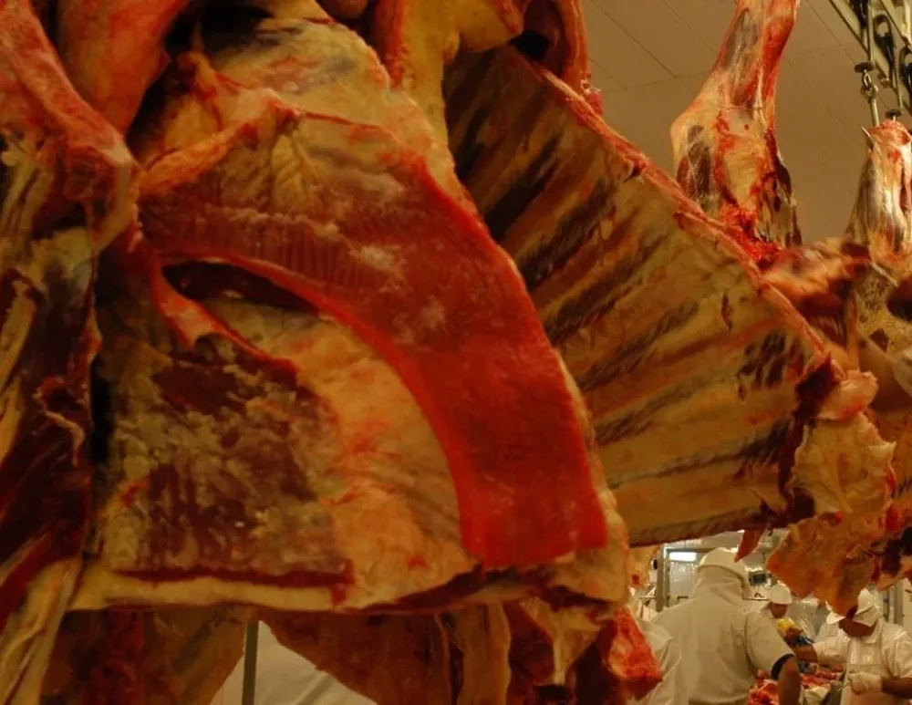 El valor agregado industrial en febrero aumento US$ 14 por animal