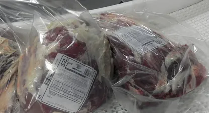 El Observador | Las carnes vacunas son la amplia mayoría de lo exportado