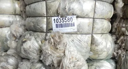 Lana: semana con valores más estimulantes.