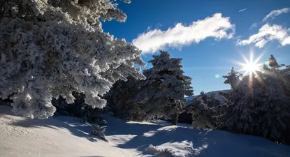 Vista del paisaje nevado en el Puerto de Cotos, a 7 de enero de 2024, en Madrid (España).