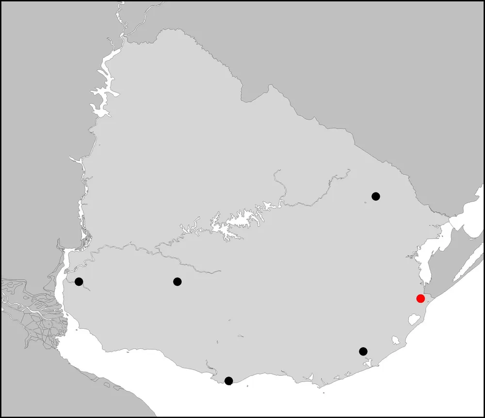 Distribución del linaje mitocondrial C1d+16288 en poblaciones actuales (negro) y restos prehistóricos (rojo). La imagen fue modificada a partir del artículo de Mónica Sans, Gonzalo Figueiro y Pedro Hidalgo, publicado este mes en la revista científica Human Biology