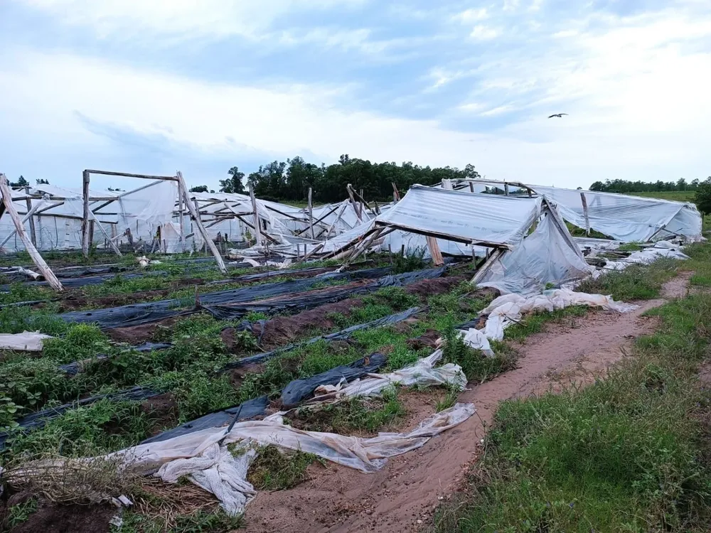 Imágenes del temporal en Salto