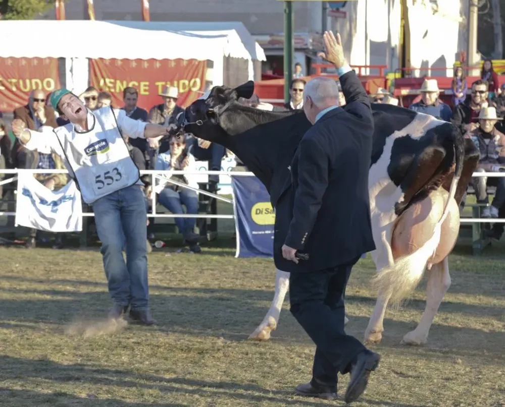 La emoción del cabañero de La Palma apenas el jurado decidió coronar a la vaca de Tornielli Hnos.
