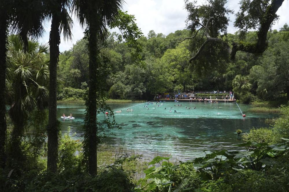 La zona de baño del Rainbow Springs State Park el viernes 18 de julio de 2025, en Dunnellon, Florida.&nbsp;