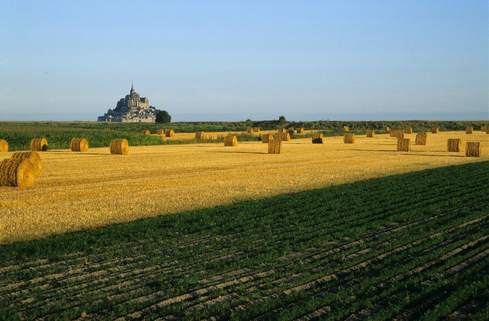 Francia: detección de un problema, primer paso para la búsqueda de soluciones.