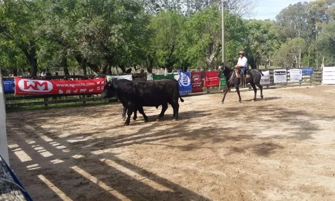 Mercado muy selectivo en la Expo Flores 2015