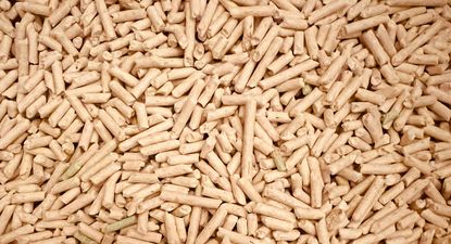 Dirección de Energía promueve nuevo sello de productos eficientes