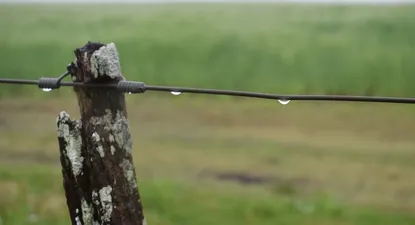 Se espera un día nublado y con posibles lluvias en Montevideo