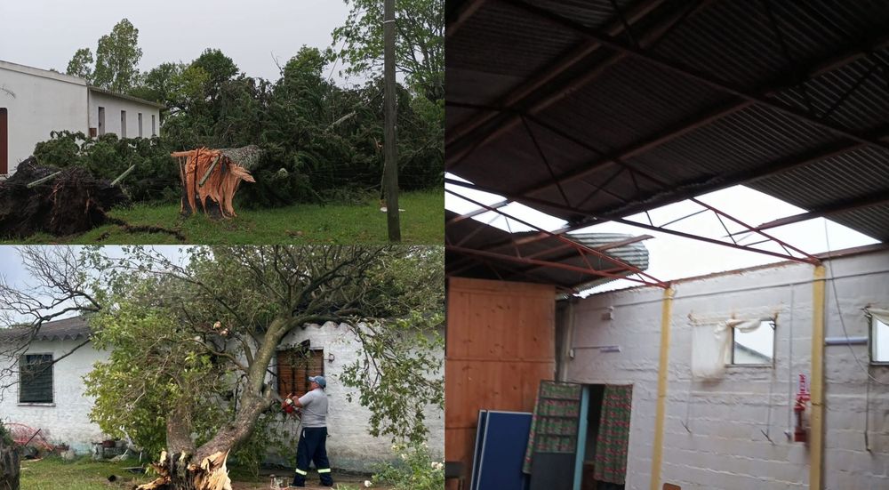 Temporal causó la voladura de techos, rotura de vidrios, entre otras cosas