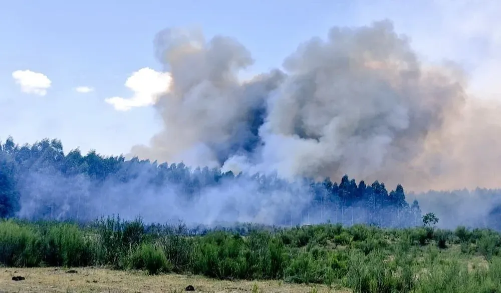 Desde Bomberos esperan al mediodía para ver si no surgen nuevos focos o se reinician, debido a las altas temperaturas
