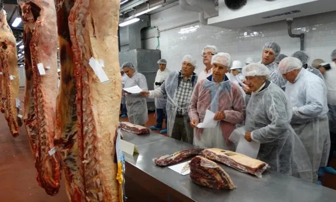 Los visitantes observaron en detalle las reses ganadoras