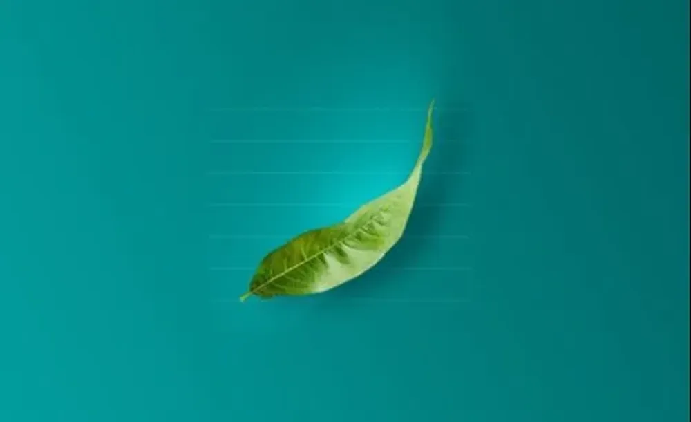 El objetivo del Dow Jones Sustainability Index es evaluar el desempeño en términos de sostenibilidad de las mayores empresas del planeta y destacar a los líderes de cada industria