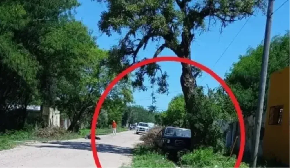 Un hombre murió al chocar con una camioneta y no poder ser rescatado por un enjambre de abejas