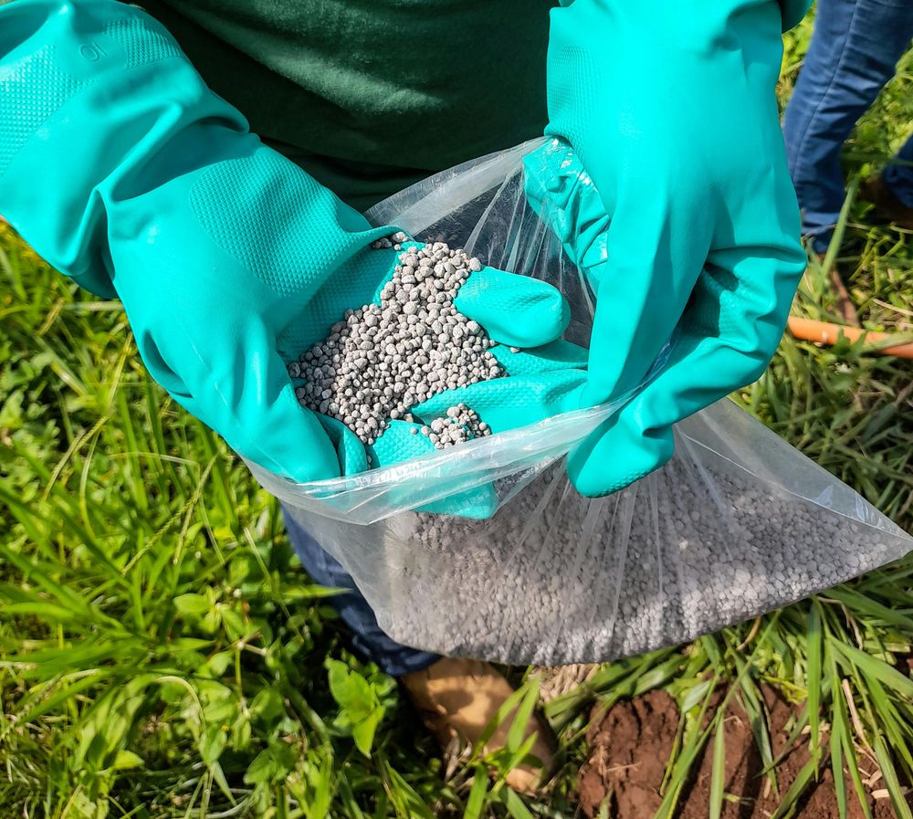 Fertilizantes: precios al alza y dificultades para acceder a un insumo clave.