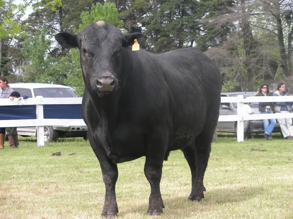 Plazo de 180 días libres y 100 kilómetros de flete gratis por rutas nacionales