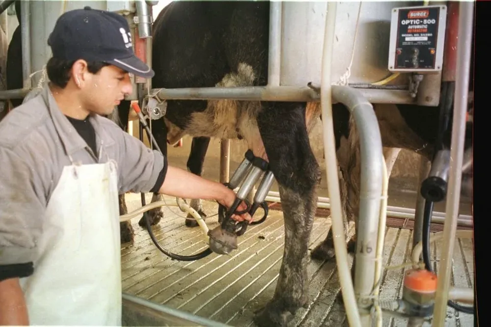 Tamberos esperan que UTE acceda a eliminar las tarifas con franjas horarias