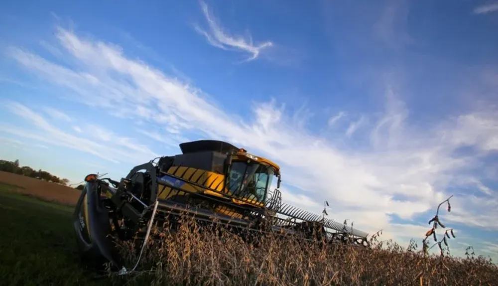 La CR 9080 en acción en una chacra cercana a Risso