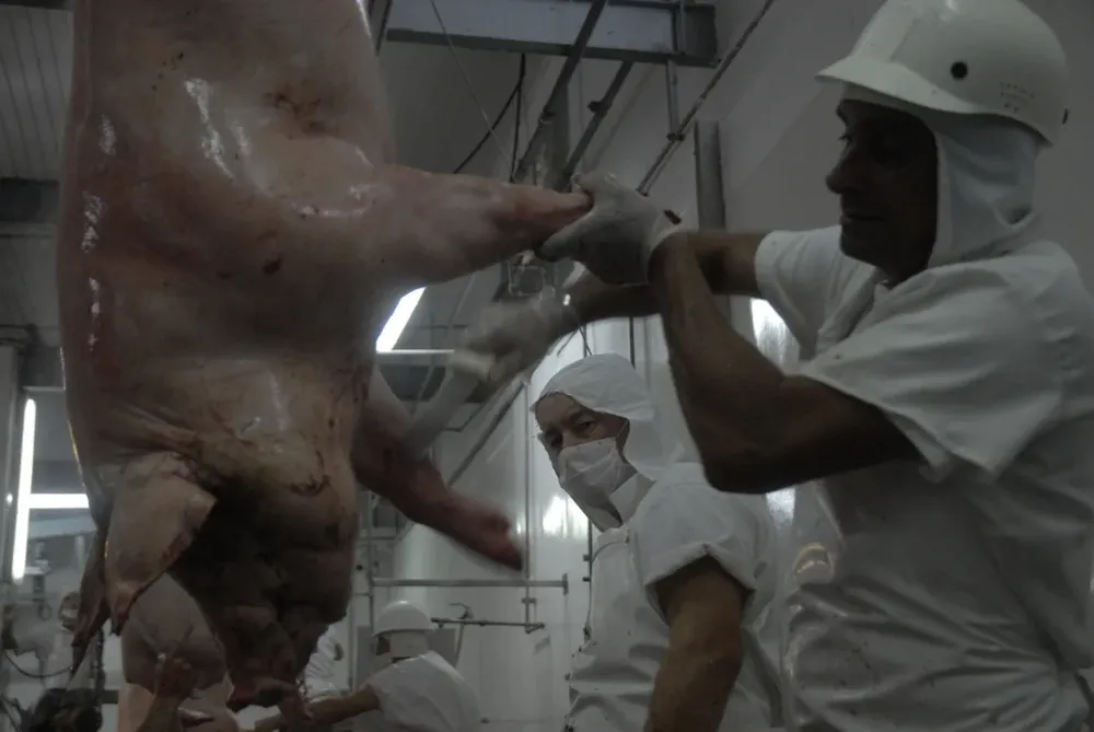 Un grupo de acreedores se siente perjudicado por la venta de La Constancia.