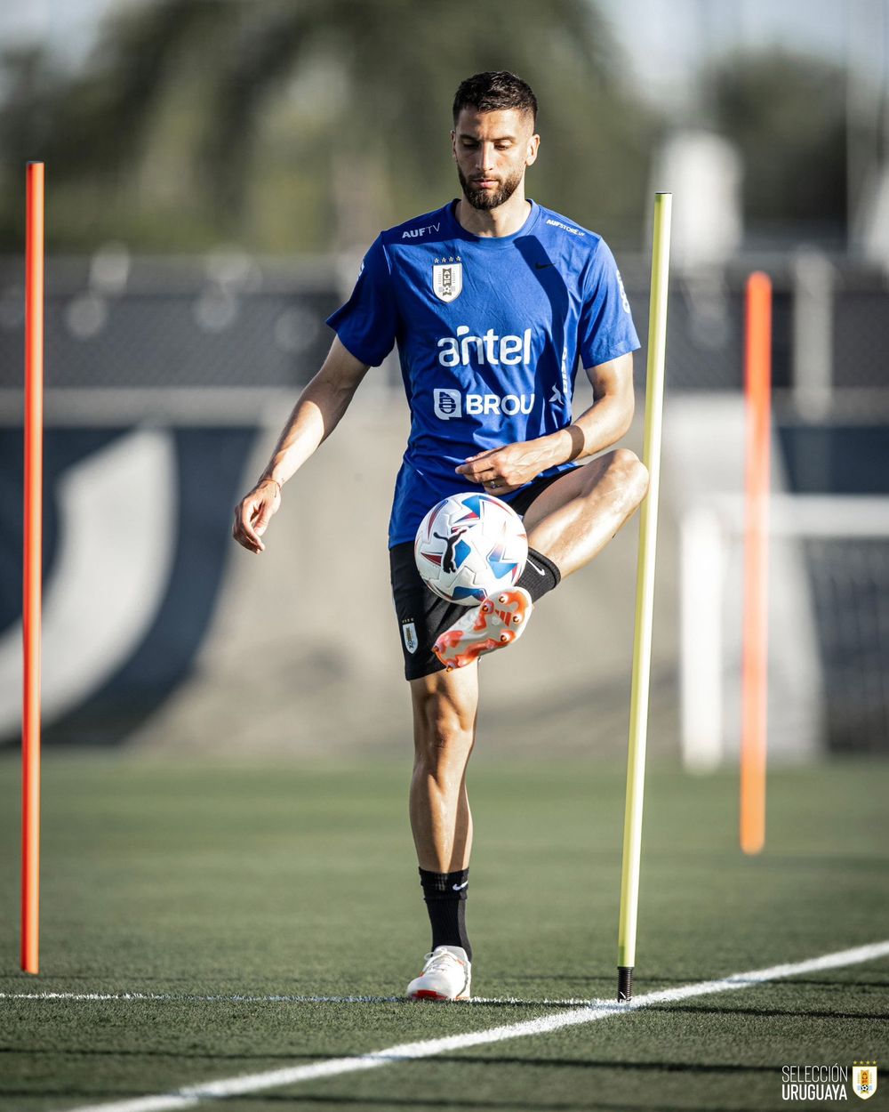 Rodrigo Bentancur en la práctica de la selección uruguaya en Miami