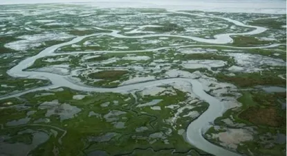 Alerta de tsunami por un terremoto de 7,9 en Alaska