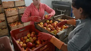 Emprendimientos que recuperan alimentos antes de ser desechados