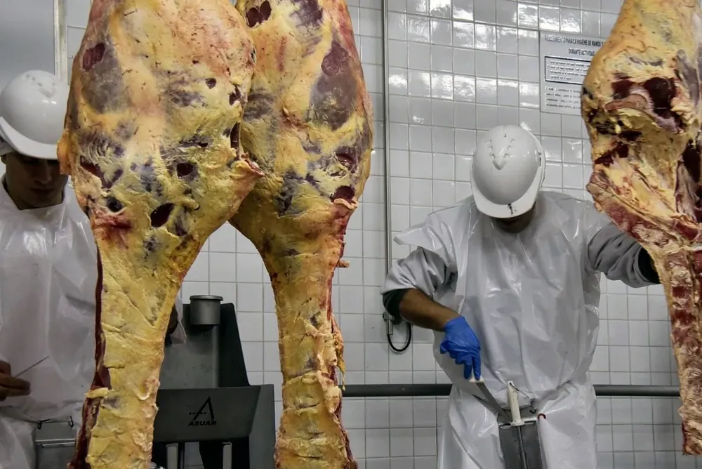 Agroindustria cárnica en Uruguay.