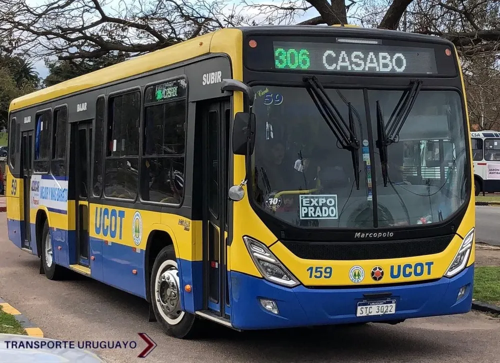 El 306 tendrá nueva terminal