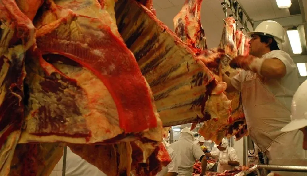 El gobierno ofrece la carne como moneda de pago.