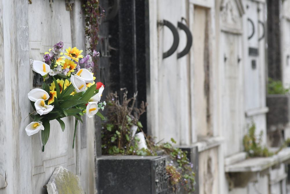 Día de los difuntos, día de los muertos.
