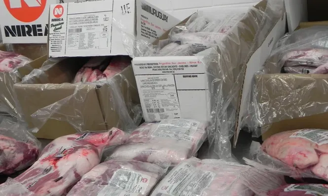 Rubro ovino: la carne de exportación con precios elevados.