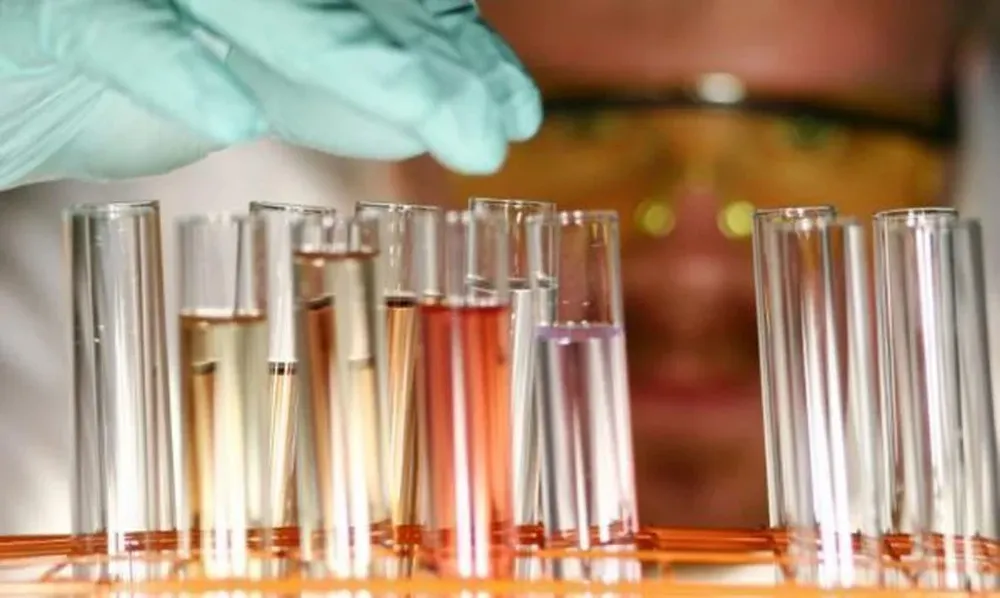 Los científicos no quieren que la ciencia quede enfocada solo hacia la economía