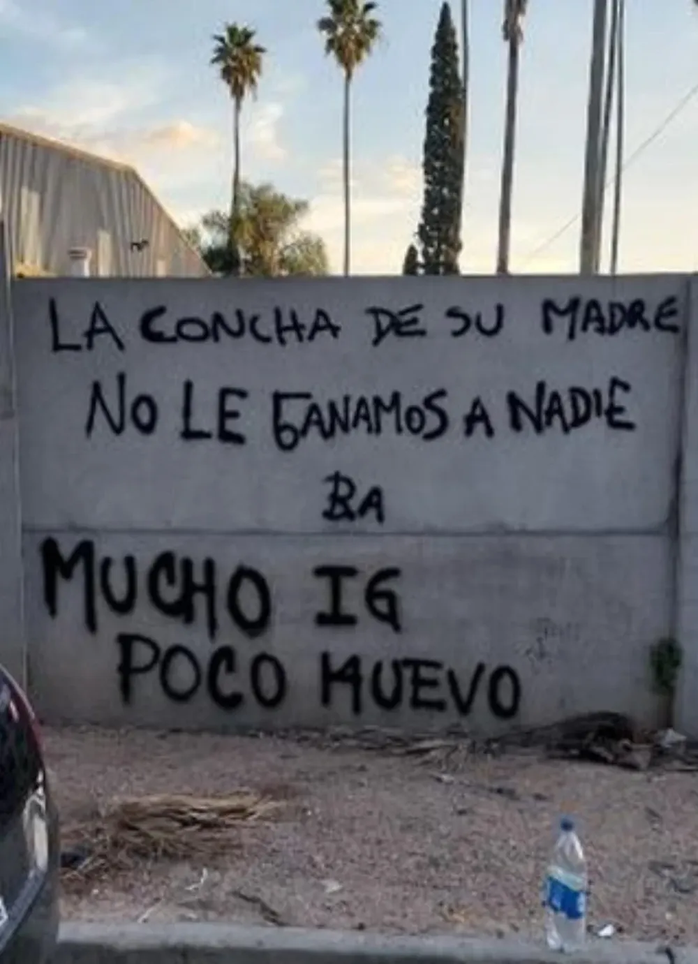 Las pintadas en Los Aromos
