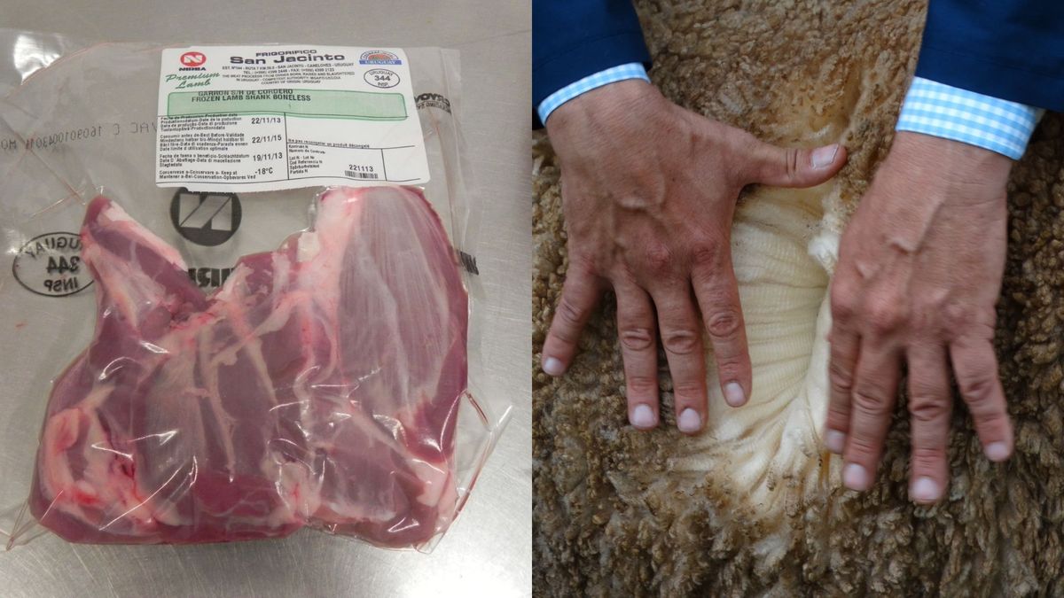 Por lanas y carne, los dos productos del rubro ovino, crecieron los ingresos por exportaciones