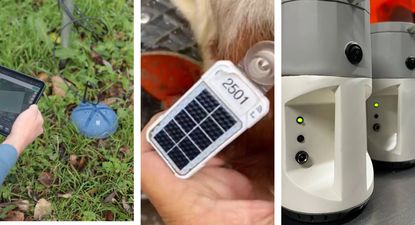 Un recorrido por la innovación en Agro en Punta: propuestas, inversiones, interés internacional y las barreras que quedan por superar