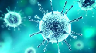 Preocupación en. España por los casos de un raro enterovirus.