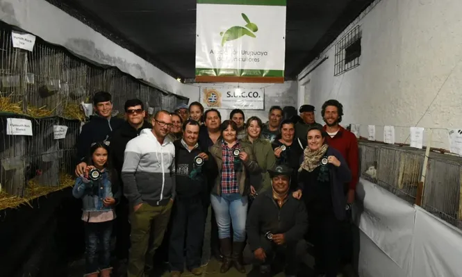 Nueva entidad de cunicultores trabaja con 12 razas y debutó en la Expo San José