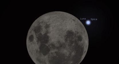 Luna y estrella&nbsp;Spica